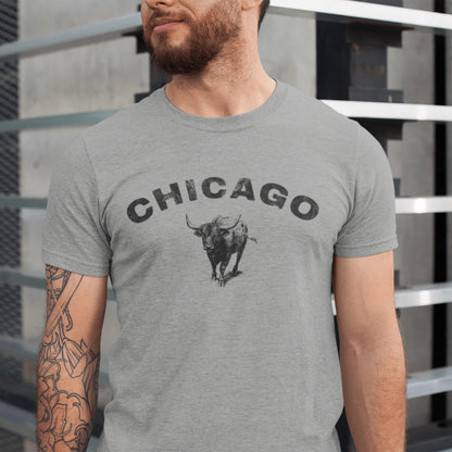 T-Shirt Athletic Heather / XS Chicago Bull T-Shirt