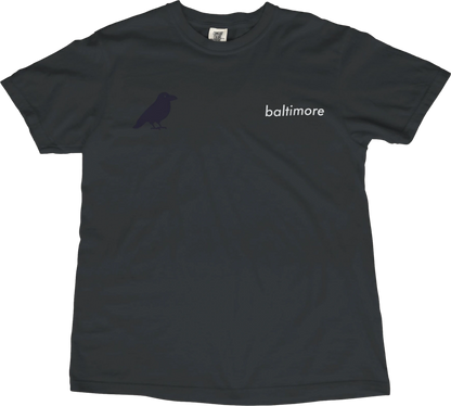 T-Shirt Black / S Baltimore Raven T-Shirt
